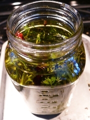 Rosemary-thyme oil